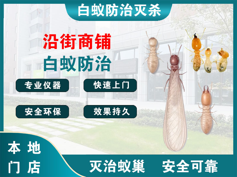 金坛区沿街商铺白蚁防治