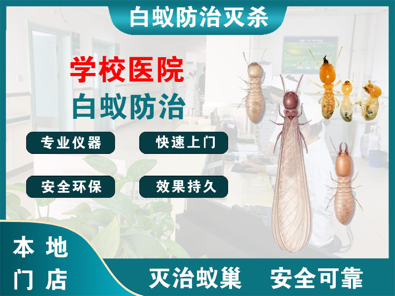 金坛区学校医院白蚁防治