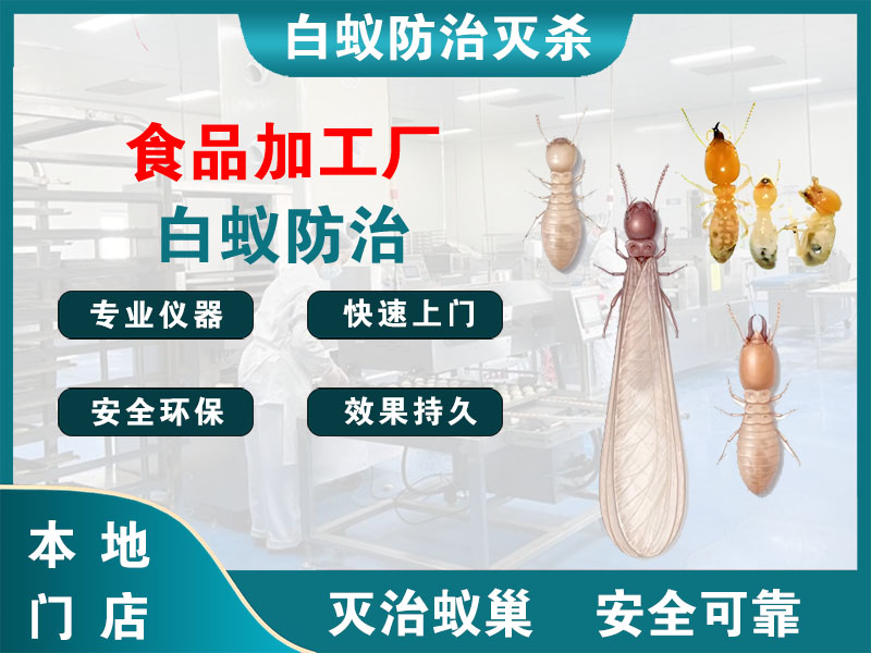 金坛区食品加工厂白蚁防治