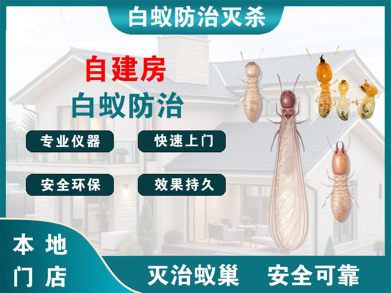 金坛区自建房白蚁防治