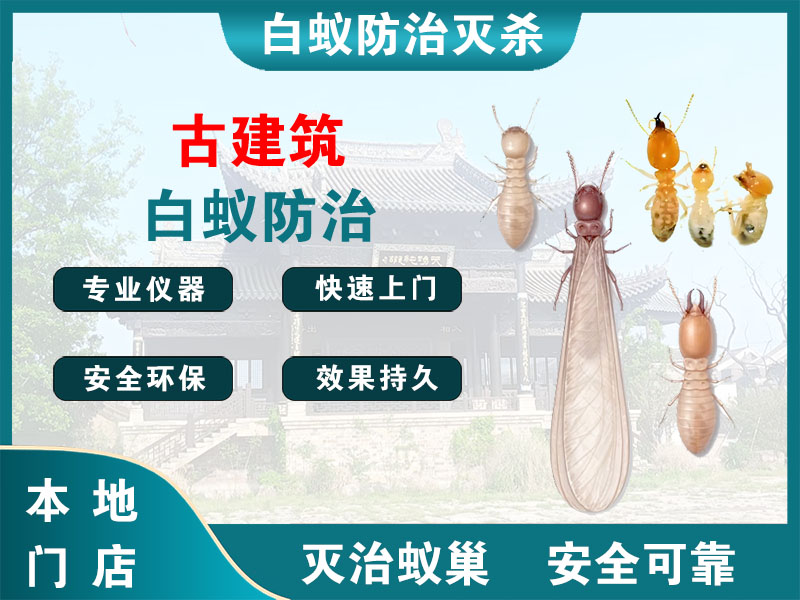 金坛区古建筑白蚁防治