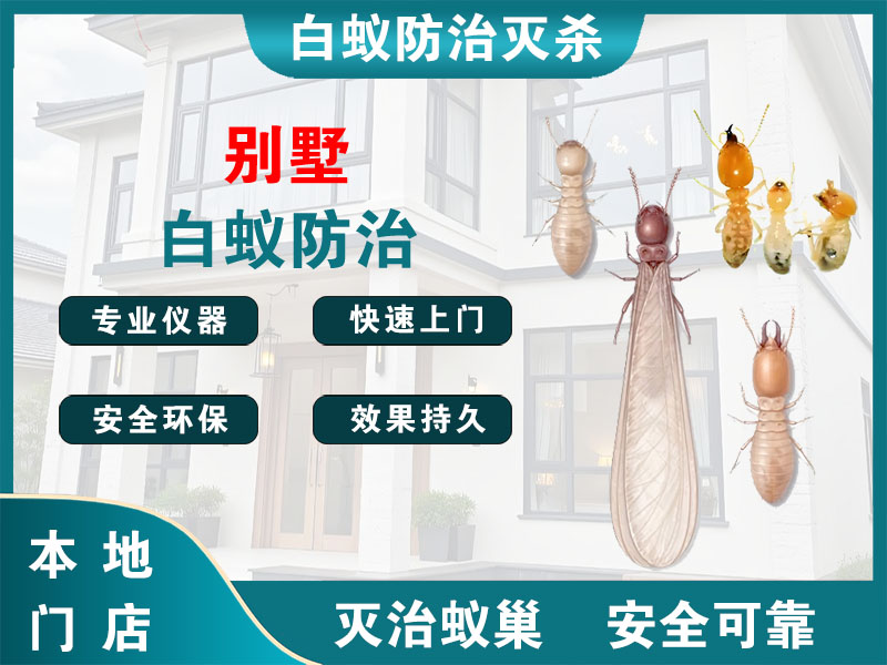 金坛区别墅白蚁防治