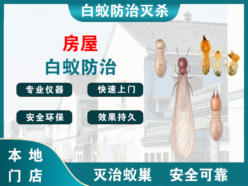 金坛区房屋白蚁防治